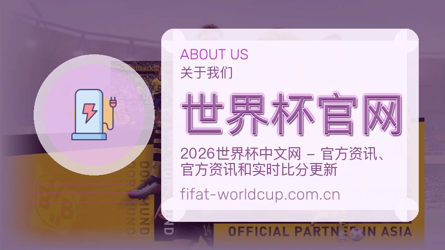 世界杯官网比赛资料整理服务